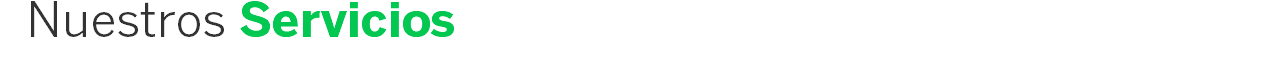&nbsp;Nuestros Servicios 